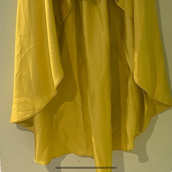 CYNTHIA ROWLEY SKIRT - Picture 4 of 6